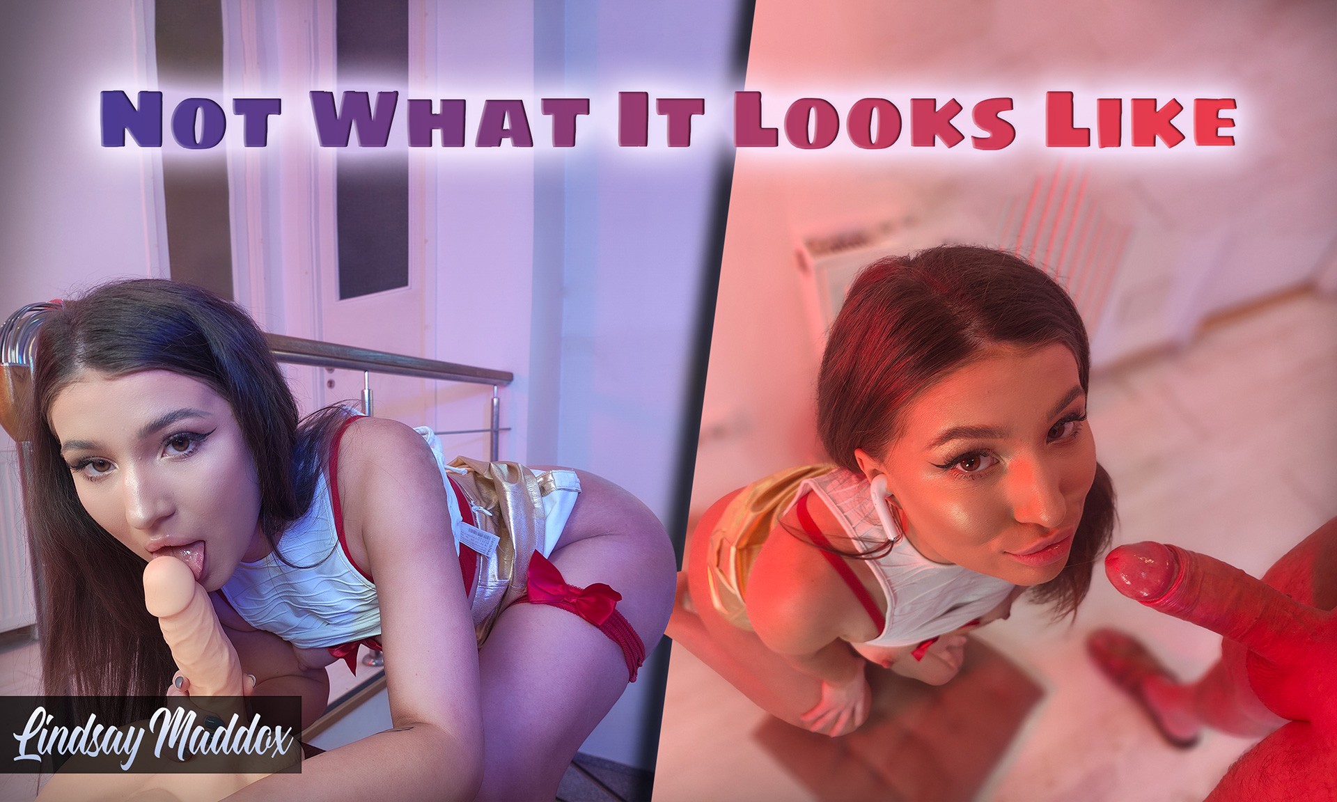 Not What It Looks Like - Lindsay Maddox