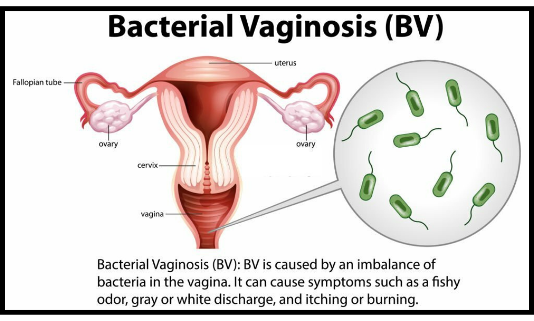 Why Common Genital Health Issues Deserve Your Attention: A Guide to Staying Safe and Satisfied