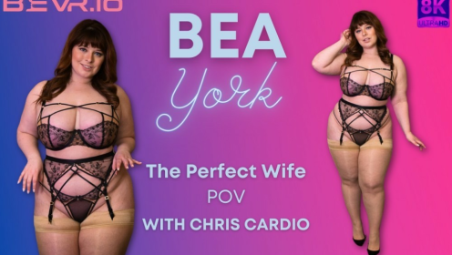 The Perfect Wife Pov