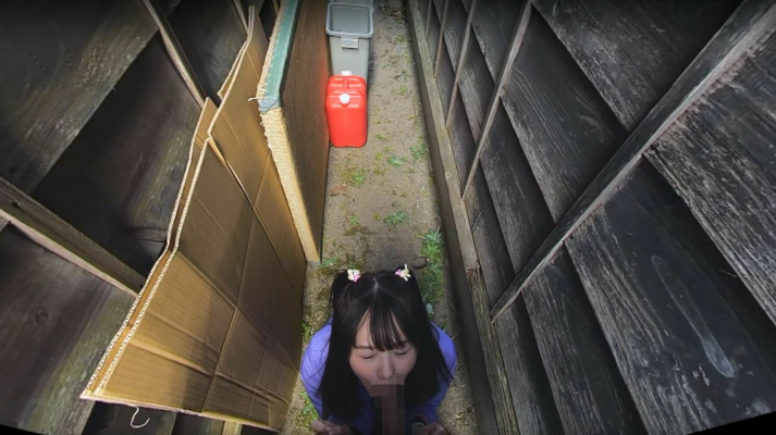 Diary Of Outdoor Pranks On A Beautiful Country Girl By The Town Council President P1 - Image 3