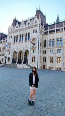 Mary Jane's Wild Anal Party Adventure - Image 1